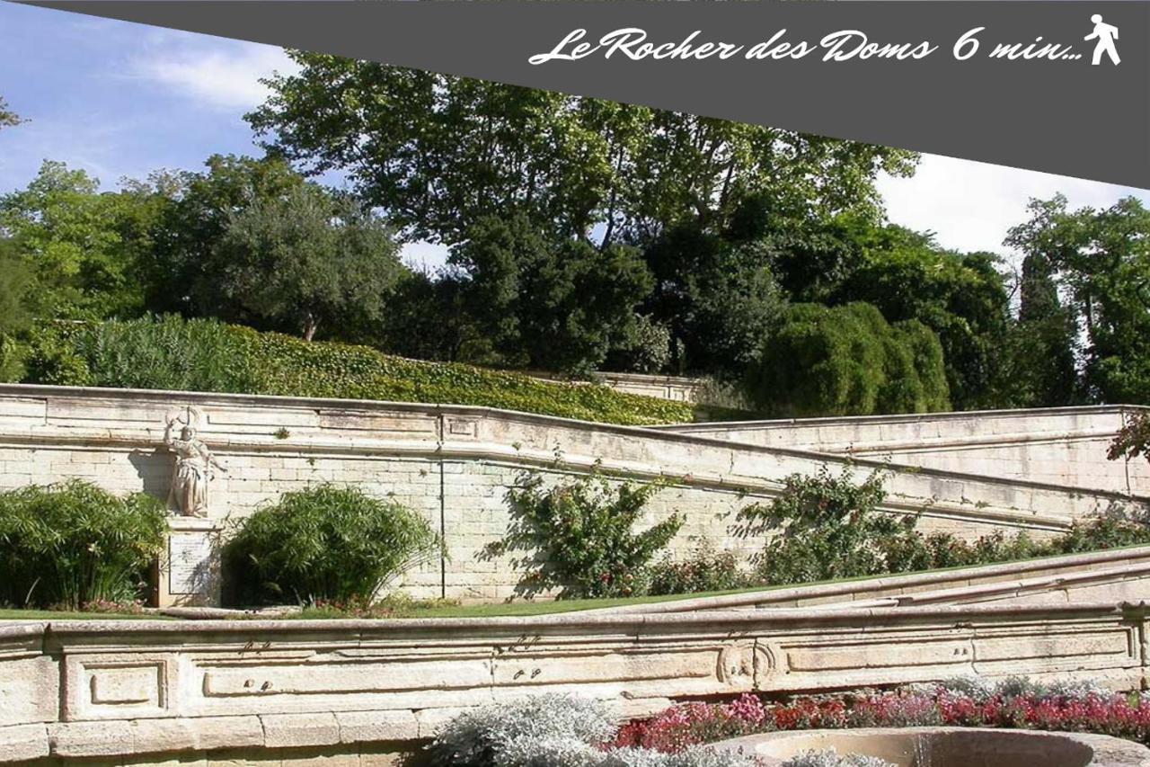 אביניון Le Chapeau Rouge Au Coeur Du Centre Historique מראה חיצוני תמונה